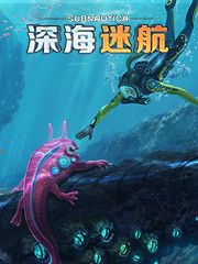 那里批发内衣最便宜
